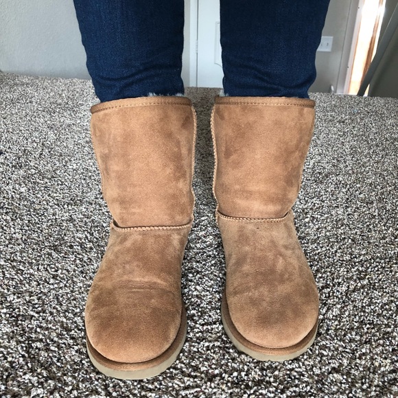 UGG Shoes - Short classic chestnut UGG boots